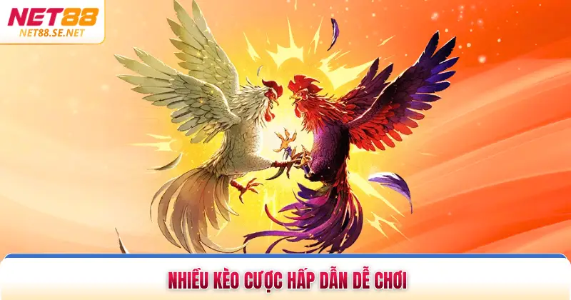 Nạp & Cược Đá Gà Thomo - Chỉ Dẫn Chi Tiết Lần Đầu Tiến Hành Nhiều kèo cược hấp dẫn dễ chơi