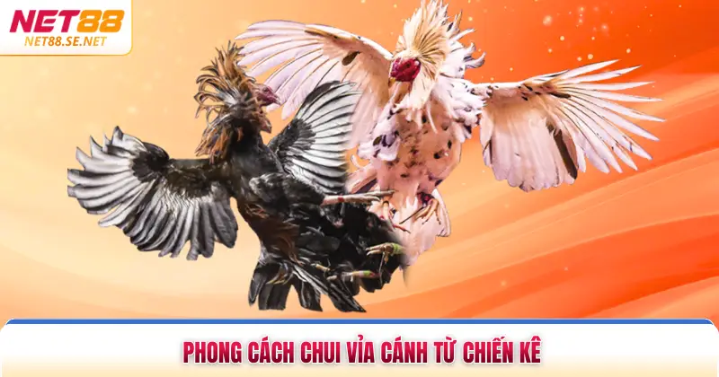 Thế Đá Gà Là Gì Tìm Hiểu Bí Thuật Chiến Kê Tại NET88 Phong cách chui vỉa cánh từ chiến kê